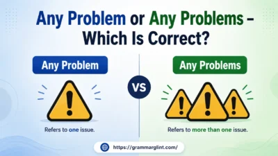 Comparison of “Any Problem” vs “Any Problems” showing singular and plural grammar usage in English.