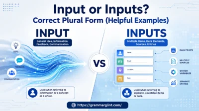 Input vs Inputs comparison showing singular feedback flow versus multiple structured data entries in a modern educational design.