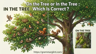 On the Tree or In the Tree